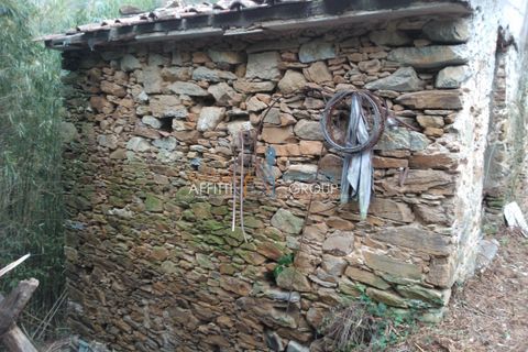 Villa a Pietrasanta, Lucca, Pietrasanta - € 200.000 | Ref: 3127 - foto 3