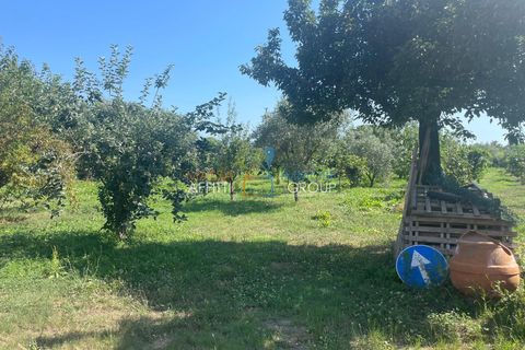 Villa i Pietrasanta, Lucca, Pietrasanta - € 990.000 | Ref: 3099 - foto 11