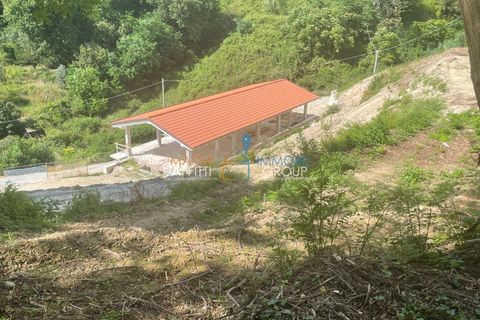 Villa i Massa, Massa and Carrara, Massa - € 749 000 | Ref: 3090 - foto 18