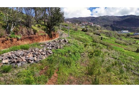 Helårsgrund i Calheta, Madeira, Calheta - € 138.000 | Ref: TER_55 - foto 36