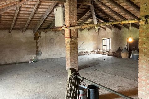 Villa a Castelfranco Veneto, Treviso, Castelfranco Veneto - € 210.000 | Ref: AV7-24 - foto 19
