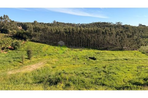 Villa i Cadaval, Lisbon, Cadaval - € 600.000 | Ref: 1885 - foto 9