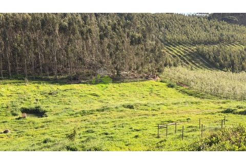 Villa i Cadaval, Lisbon, Cadaval - € 600.000 | Ref: 1885 - foto 10