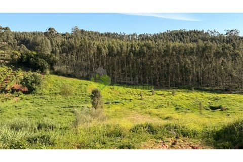 Villa i Cadaval, Lisbon, Cadaval - € 600.000 | Ref: 1885 - foto 17
