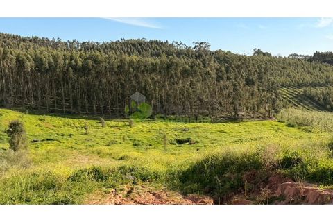 Villa i Cadaval, Lisbon, Cadaval - € 600.000 | Ref: 1885 - foto 18