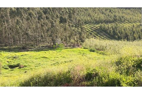 Villa i Cadaval, Lisbon, Cadaval - € 600.000 | Ref: 1885 - foto 19