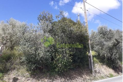 Helårsgrund i Alenquer, Lisbon, Alenquer - € 59.000 | Ref: 1846 - foto 2