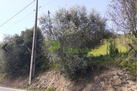 Helårsgrund i Alenquer, Lisbon, Alenquer - € 59.000 | Ref: 1846 - foto 5