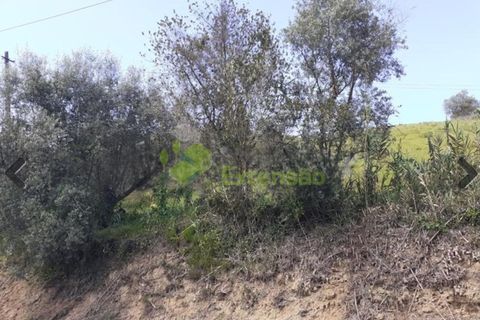 Helårsgrund i Alenquer, Lisbon, Alenquer - € 59.000 | Ref: 1846 - foto 7