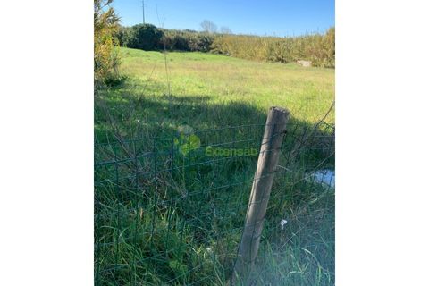 Helårsgrund i A dos Cunhados e Maceira, Lisbon, A dos Cunhados e Maceira - € 75.000 | Ref: 1523 - foto 2