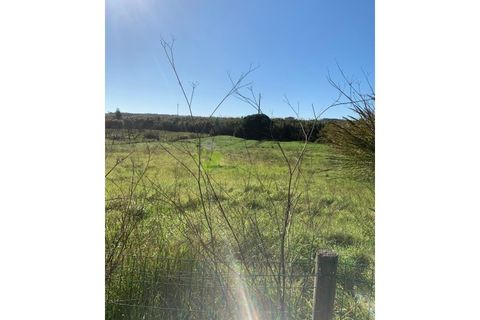 Helårsgrund i A dos Cunhados e Maceira, Lisbon, A dos Cunhados e Maceira - € 75.000 | Ref: 1523 - foto 3
