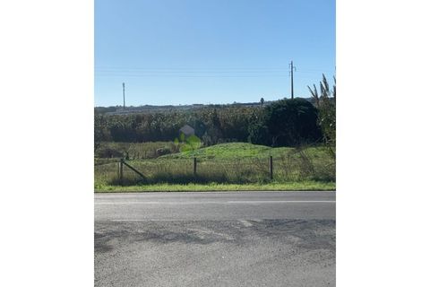 Helårsgrund i A dos Cunhados e Maceira, Lisbon, A dos Cunhados e Maceira - € 75.000 | Ref: 1523 - foto 11