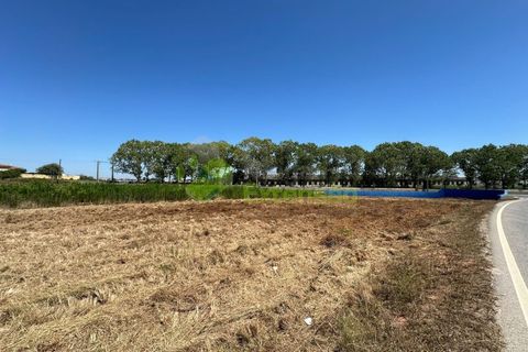 Helårsgrund i Torres Vedras, Lisbon, Torres Vedras - € 95.000 | Ref: 1776 - foto 2