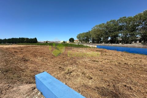 Helårsgrund i Torres Vedras, Lisbon, Torres Vedras - € 95.000 | Ref: 1776 - foto 4