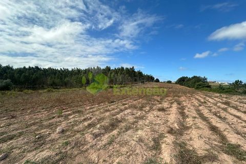 Helårsgrund i Cadaval, Lisbon, Cadaval - € 90.000 | Ref: 1803 - foto 1