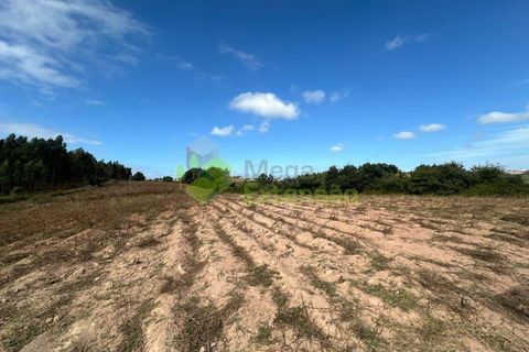 Helårsgrund i Cadaval, Lisbon, Cadaval - € 90.000 | Ref: 1803 - foto 2