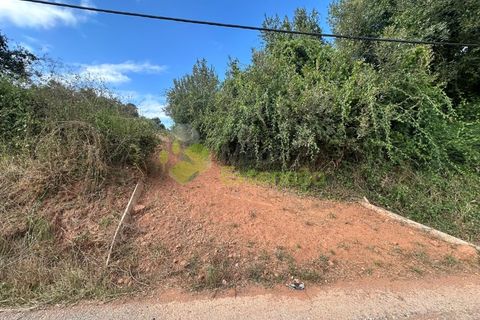 Helårsgrund i Cadaval, Lisbon, Cadaval - € 90.000 | Ref: 1803 - foto 3