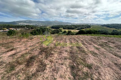 Helårsgrund i Cadaval, Lisbon, Cadaval - € 90.000 | Ref: 1803 - foto 4
