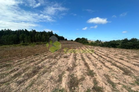Helårsgrund i Cadaval, Lisbon, Cadaval - € 90.000 | Ref: 1803 - foto 5