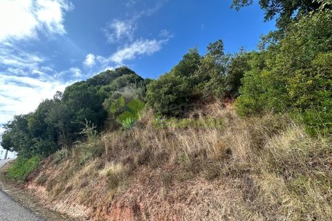 Helårsgrund i Cadaval, Lisbon, Cadaval - € 90.000 | Ref: 1803 - foto 9