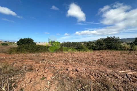 Helårsgrund i Cadaval, Lisbon, Cadaval - € 90.000 | Ref: 1803 - foto 11