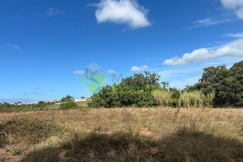 Helårsgrund i Cadaval, Lisbon, Cadaval - € 90.000 | Ref: 1803 - foto 12