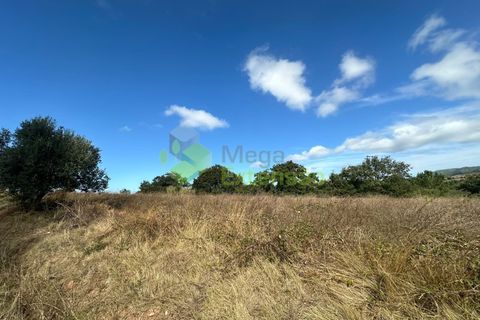 Helårsgrund i Cadaval, Lisbon, Cadaval - € 90.000 | Ref: 1803 - foto 16