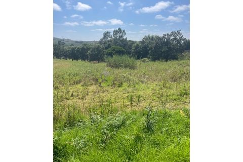 Helårsgrund i Cadaval, Lisbon, Cadaval - € 43.500 | Ref: 1855 - foto 3