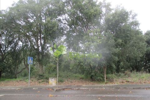 Helårsgrund i Leiria, Leiria, Leiria - € 53.500 | Ref: 1873 - foto 2