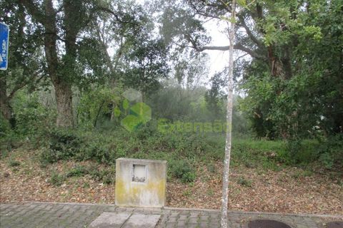 Helårsgrund i Leiria, Leiria, Leiria - € 53.500 | Ref: 1873 - foto 3