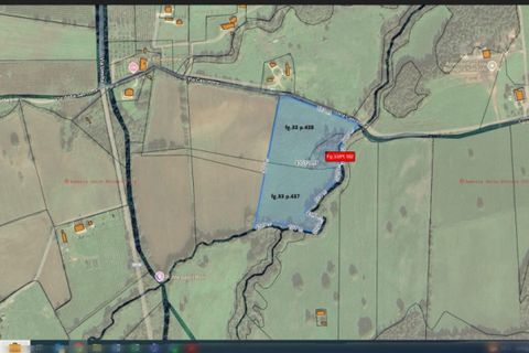 Terra a Nepi, Viterbo, Nepi - € 160.000 | Ref: NEPI - foto 4