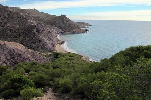 Bungalow i Torre Pacheco, Murcia, Torre Pacheco - € 238.000 | Ref: 2020v/10853 - foto 18