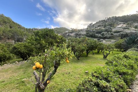 Finca a Banyalbufar, Mallorca, Banyalbufar - € 30.000/mes | Ref: R26750 - foto 5
