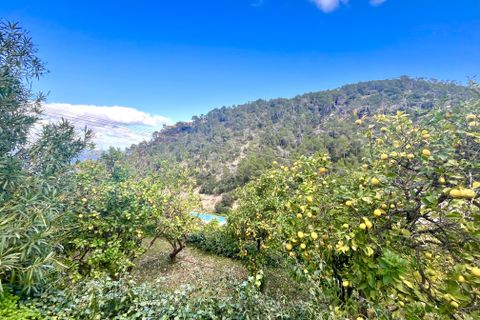 Finca a Banyalbufar, Mallorca, Banyalbufar - € 30.000/mes | Ref: R26750 - foto 36