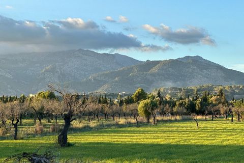 Helårsgrund i Selva, Mallorca, Selva - € 590.000 | Ref: SEL0657 - foto 5