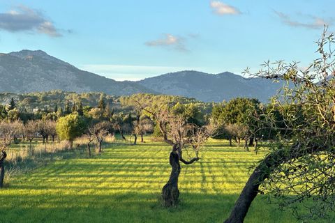 Helårsgrund i Selva, Mallorca, Selva - € 590.000 | Ref: SEL0657 - foto 6