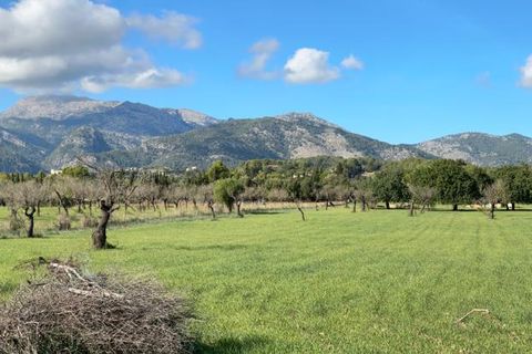 Helårsgrund i Selva, Mallorca, Selva - € 590.000 | Ref: SEL0657 - foto 8
