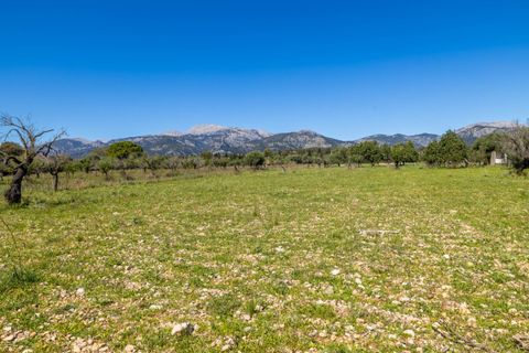 Helårsgrund i Selva, Mallorca, Selva - € 590.000 | Ref: SEL0657 - foto 2