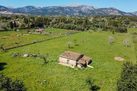 Helårsgrund i Selva, Mallorca, Selva - € 590.000 | Ref: SEL0657 - foto 4
