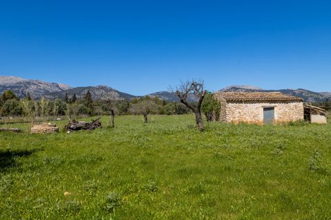 Helårsgrund i Selva, Mallorca, Selva - € 590.000 | Ref: SEL0657 - foto 9