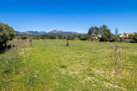 Helårsgrund i Selva, Mallorca, Selva - € 590.000 | Ref: SEL0657 - foto 10