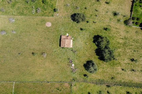 Helårsgrund i Selva, Mallorca, Selva - € 590.000 | Ref: SEL0657 - foto 11