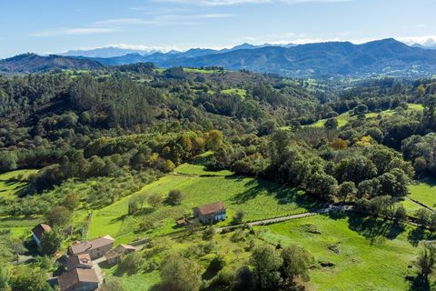 Helårsgrund i Nava, Asturias, Nava - € 104.000 | Ref: EXP09331/8930 - foto 1