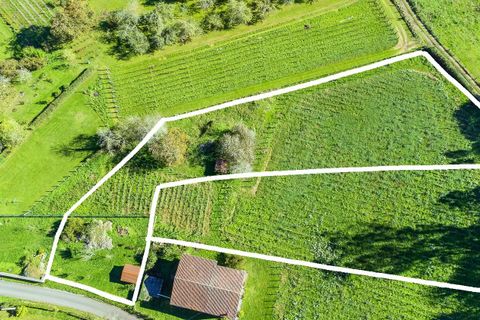 Helårsgrund i Nava, Asturias, Nava - € 104.000 | Ref: EXP09331/8930 - foto 6