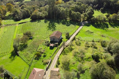 Helårsgrund i Nava, Asturias, Nava - € 104.000 | Ref: EXP09331/8930 - foto 7