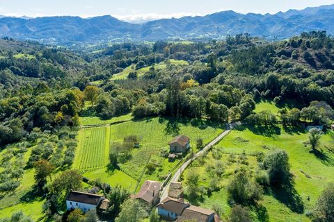 Helårsgrund i Nava, Asturias, Nava - € 104.000 | Ref: EXP09331/8930 - foto 8