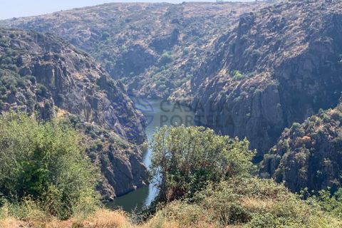 Helårsgrund i Miranda do Douro, Braganca, Miranda do Douro - € 29.900 | Ref: 190471 - foto 10