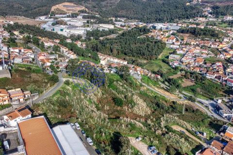 Helårsgrund i Gondomar, Porto, Gondomar - € 800.000 | Ref: 194761 - foto 16