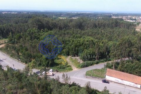 Helårsgrund i Ovar, Aveiro, Ovar - € 400.000 | Ref: 184601 - foto 2