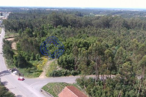 Helårsgrund i Ovar, Aveiro, Ovar - € 400.000 | Ref: 184601 - foto 4